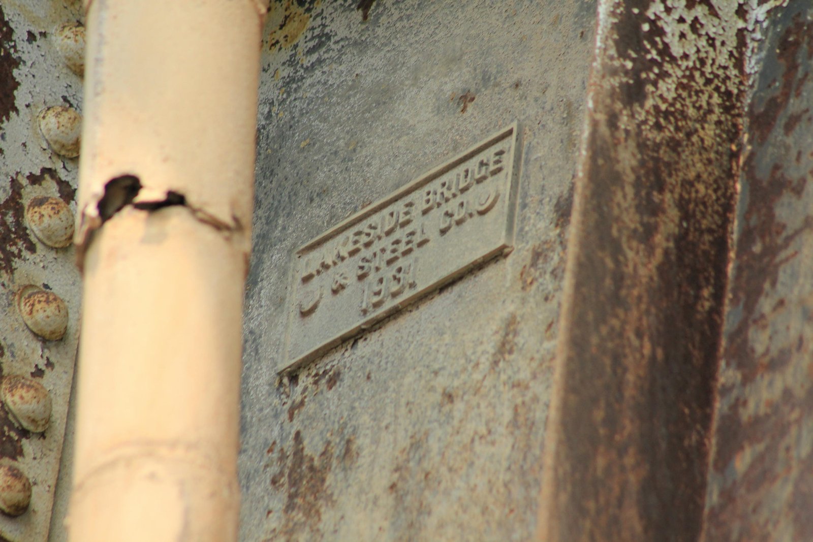 Plaque